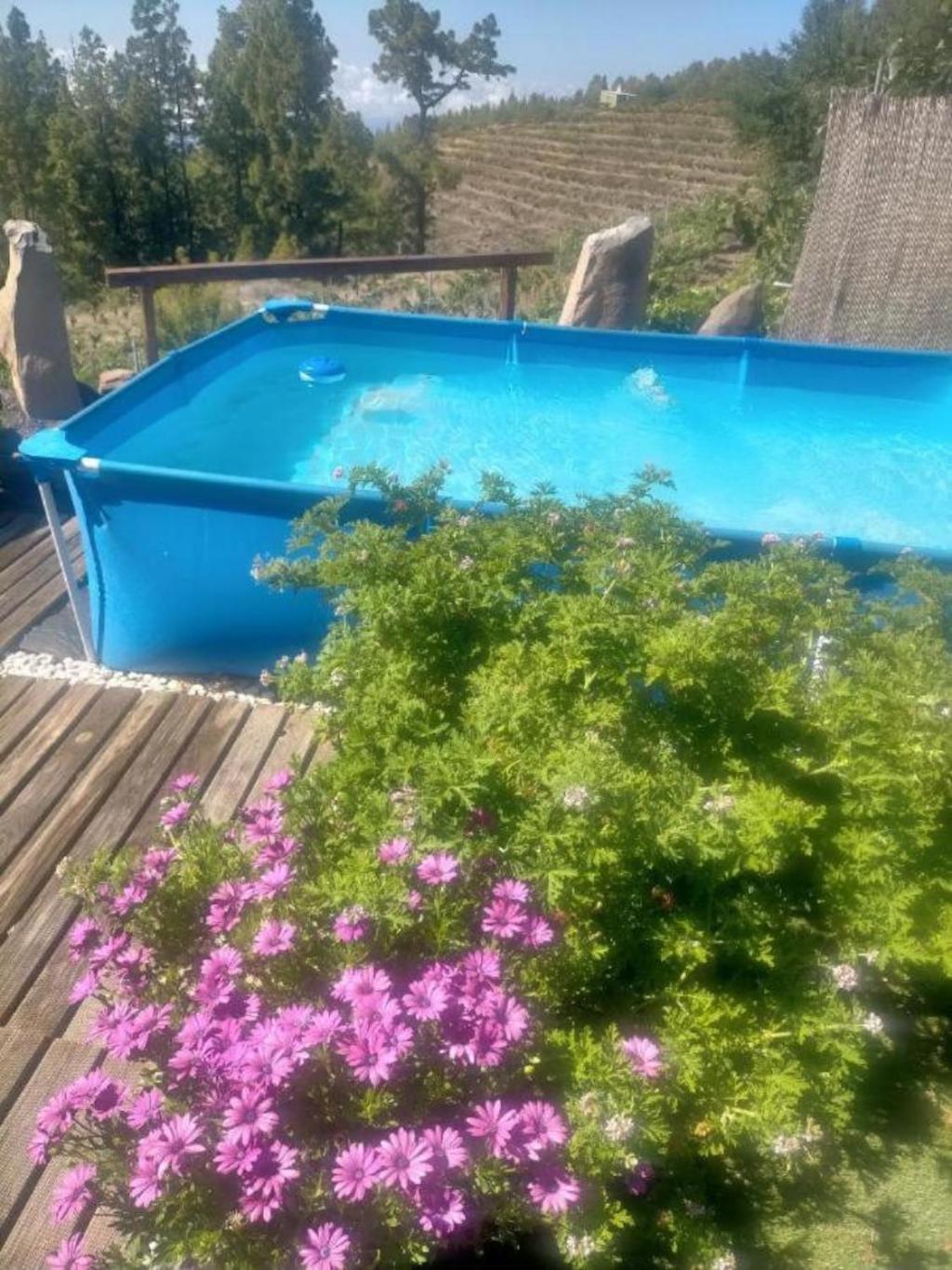 Villa Media Pipa Puntagorda Exterior foto
